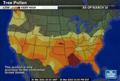 pollen-forecast-400Ã—270.jpg